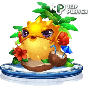 Top Player