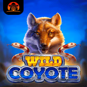 Wild Coyote