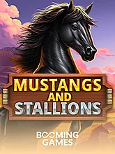 Mustangs and Stallions