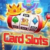 Card Slots